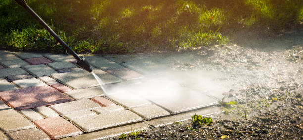 Best Patio and Deck Pressure Washing  in Halsey, OR